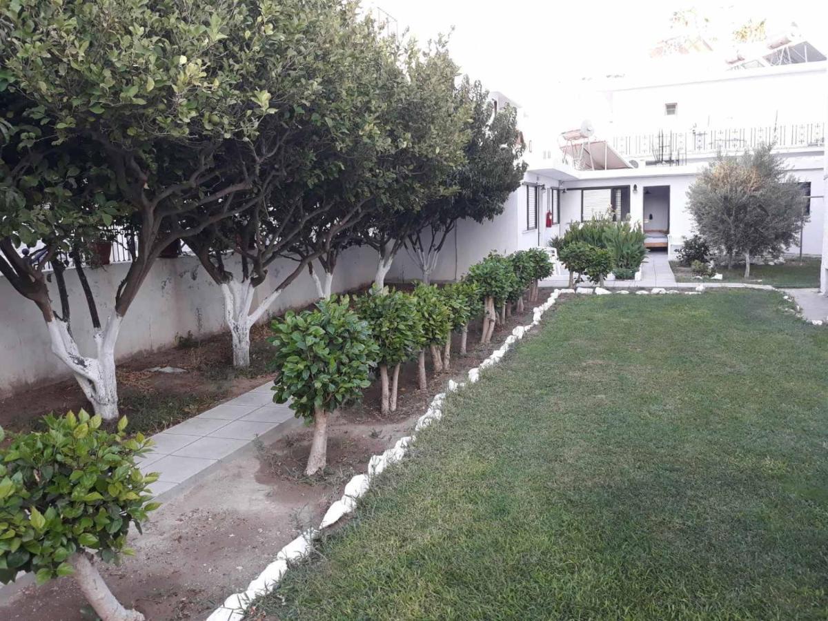 Andavis Hotel (Adults Only) Kardamena  Exteriér fotografie